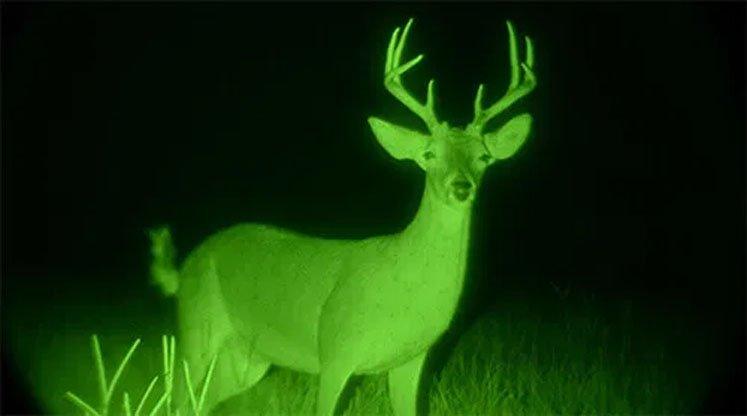 Advantages of Digital Binocular and Monocular Night Vision Devices for Modern Outdoor Observation(pic1)