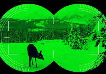 Night Vision vs Thermal Imaging: Underst