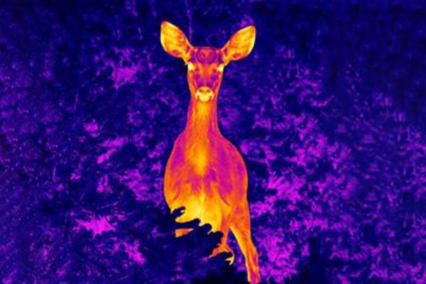 How Thermal Imaging Scopes Improve Detection in Challenging Environments How Thermal Imaging Scopes Improve Detection in Challenging Environments(pic1)
