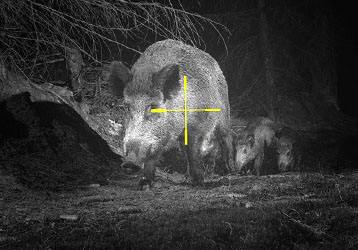 Why Choose INJIE Optics Night Vision Dev