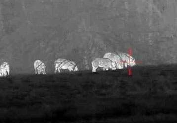 Thermal Imaging Camera for Firefighting: