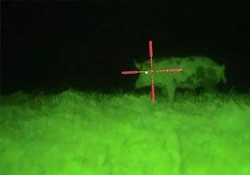 Night Vision Scope for Hunting: Technology, Features and Equipment Selection Guide